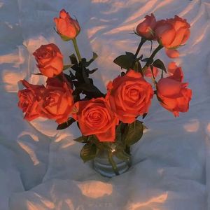 国产午夜声色不卡在线观看
